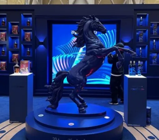 최신 프로젝트